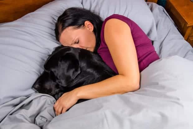 pets mattress risks sleep quality