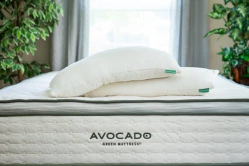 Avocado Green Pillow-Top Medium
